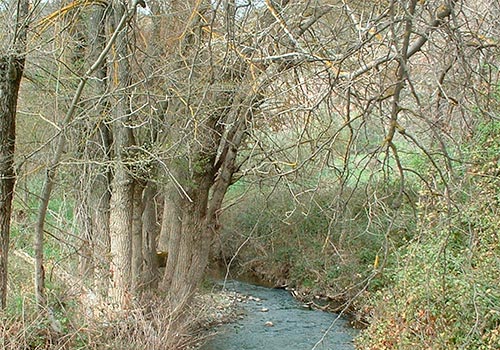 Camino de acceso a la Hoz del arroyo Marín