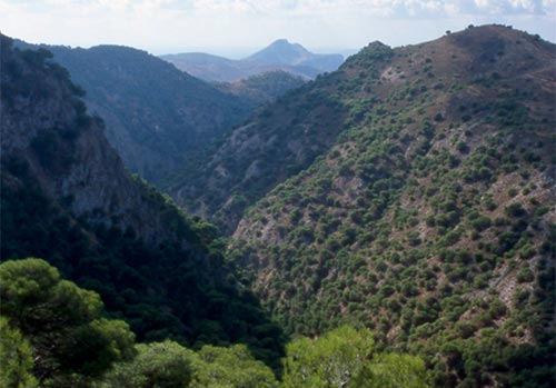 Hoz del arroyo Marín