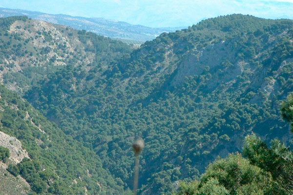 Itinerario Hoz del Arroyo Marín